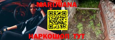 гидропоника Будённовск
