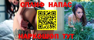 гидропоника Будённовск