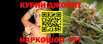 гидропоника Будённовск
