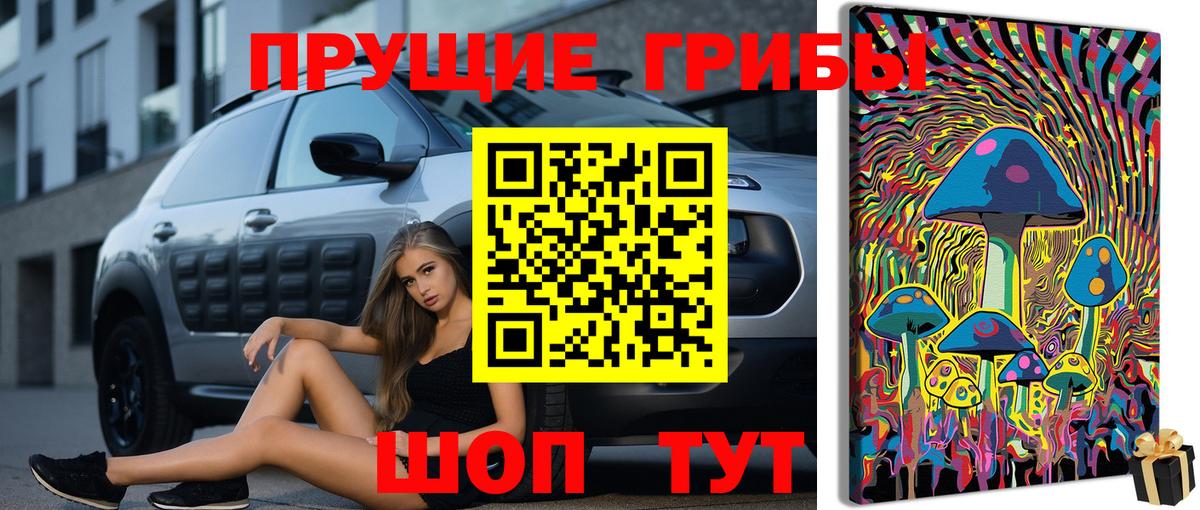 Псилоцибиновые грибы Psilocybe  Вход с VPN  купить закладку  Липецк  Галлюциногенные грибы Cubensis 