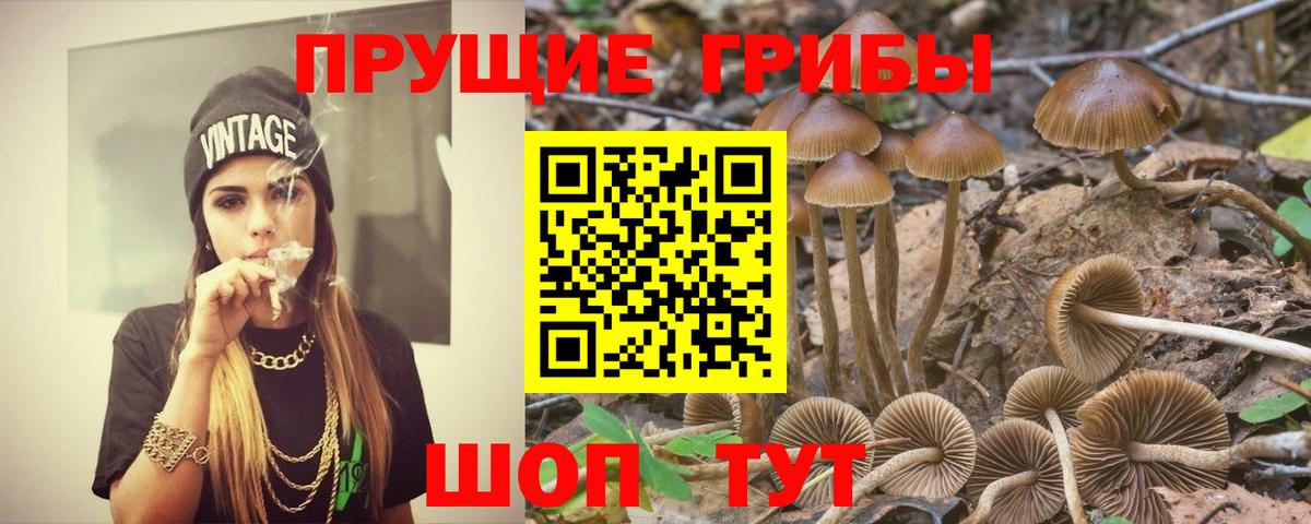 Галлюциногенные грибы мицелий Липецк